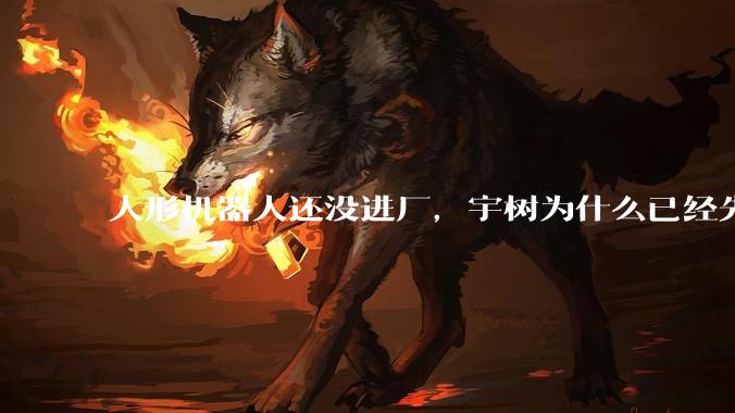 人形机器人还没进厂，宇树为什么已经先赚钱了？_公司_企业_市场