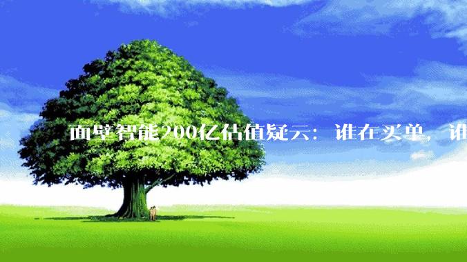 面壁智能200亿估值疑云：谁在买单，谁在定价？_李大海_公司_融资