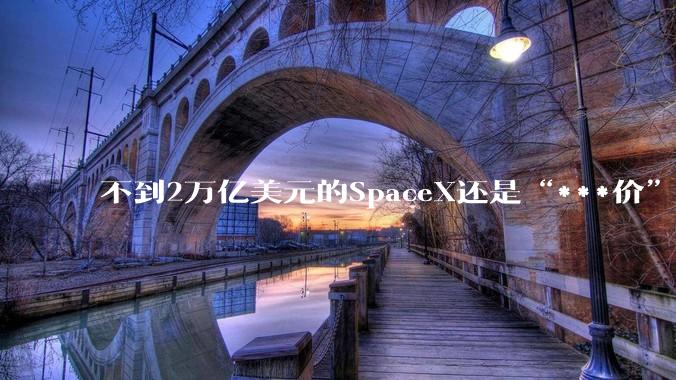 不到2万亿美元的SpaceX还是“***价”？_Morgan_Baron_马斯克