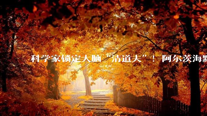 科学家锁定大脑“清道夫”！阿尔茨海默病研究有新突破_细胞_保护_胶质
