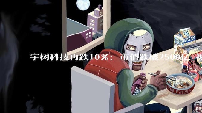 宇树科技再跌10%：市值跌破2500亿 被质疑是“大号遥控玩具”_机器人_上市_人形