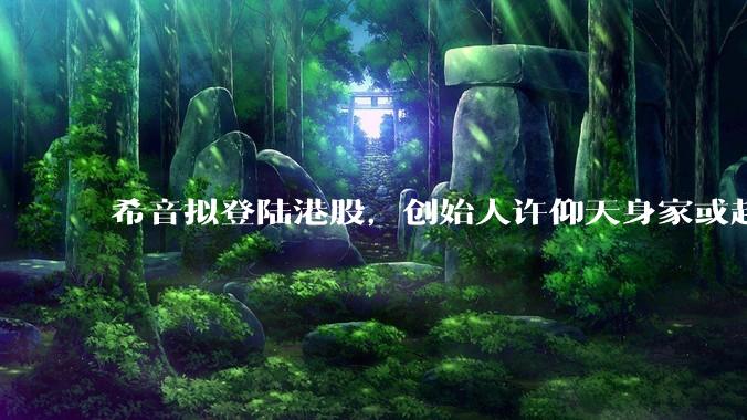 希音拟登陆港股，创始人许仰天身家或超600亿港元_全球_公司_净收入