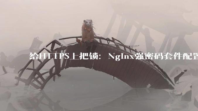 给HTTPS上把锁：Nginx强密码套件配置 - *