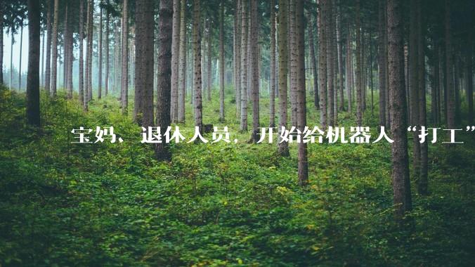 宝妈、退休人员，开始给机器人“打工”_数据_觅蜂_姚卯青