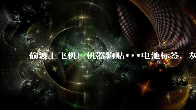 偷渡上飞机！机器狗贴***电池标签，灰产链被曝光_宇树_科技_高容量