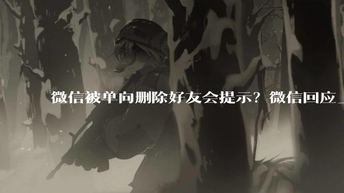 微信被单向删除好友会提示？微信回应_臧立_孙懿辞_消息