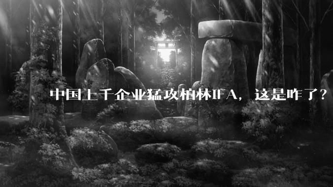 中国上千企业猛攻柏林IFA，这是咋了？_消费_CityCube_市场