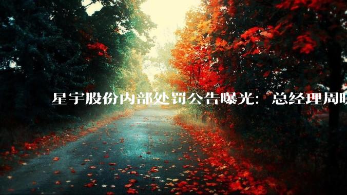星宇股份内部处罚公告曝光：总经理周晓萍被扣薪12个月_该公司_同学_***
