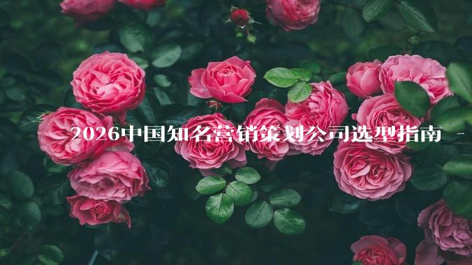 2026中国知名营销策划公司选型指南 - *