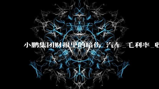 小鹏集团财报里的暗伤_汽车_毛利率_收入结构