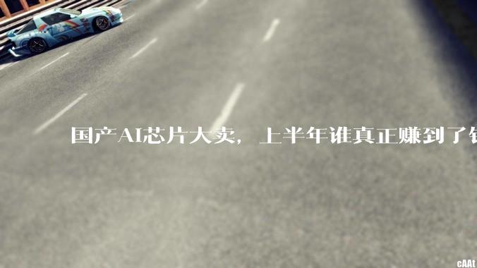国产AI芯片大卖，上半年谁真正赚到了钱？_摩尔_沐曦_收入约