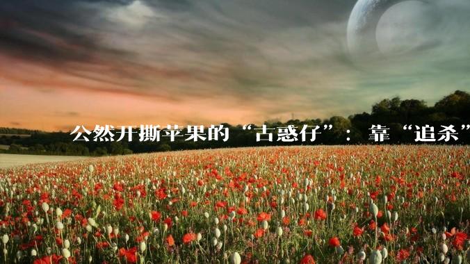 公然开撕苹果的“古惑仔”：靠“追杀”用户年入百亿_邻国_教育软件_Duo