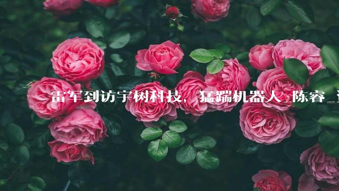 雷军到访宇树科技，猛踹机器人_陈睿_资本_小米
