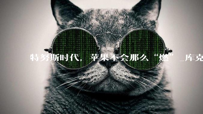 特努斯时代，苹果不会那么“燃”_库克_产品_创新
