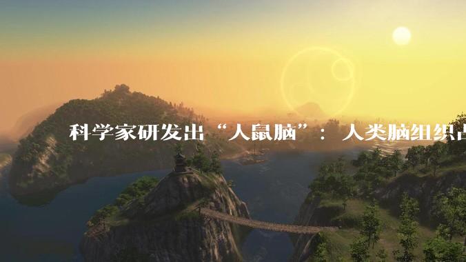 科学家研发出“人鼠脑”：人类脑组织占小鼠大脑一半，有助于研究人类罕见脑部疾病_脑细胞_帕什卡_神经元