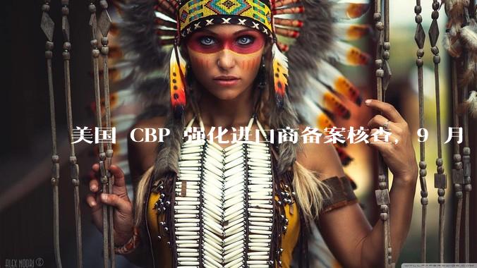 美国 CBP 强化进口商备案核查，9 月 18 日起执行 - *