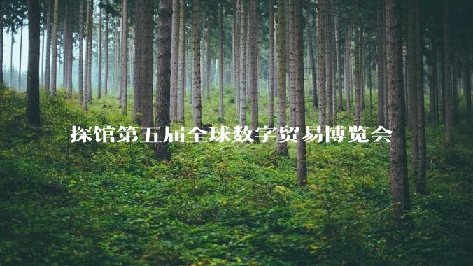 探馆第五届全球数字贸易博览会