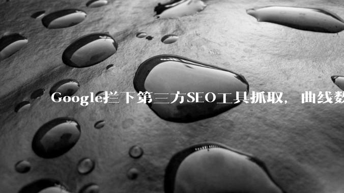Google拦下第三方SEO工具抓取，曲线数据可能失真 - *
