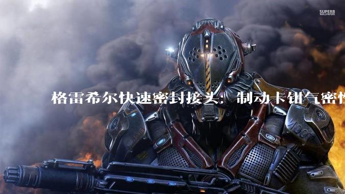 格雷希尔快速密封接头：制动卡钳气密性测试的可靠连接方案 - *